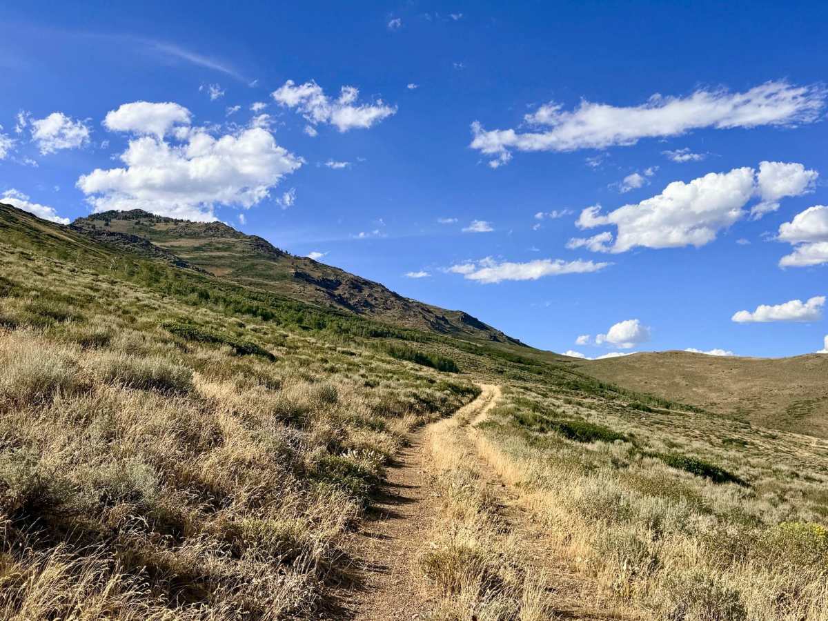 Winters Creek - FS 56135 trail photo