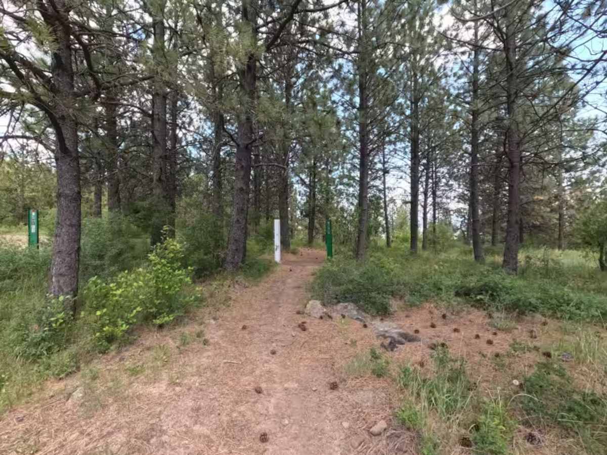 Blast Off - Trail 411  photo 3