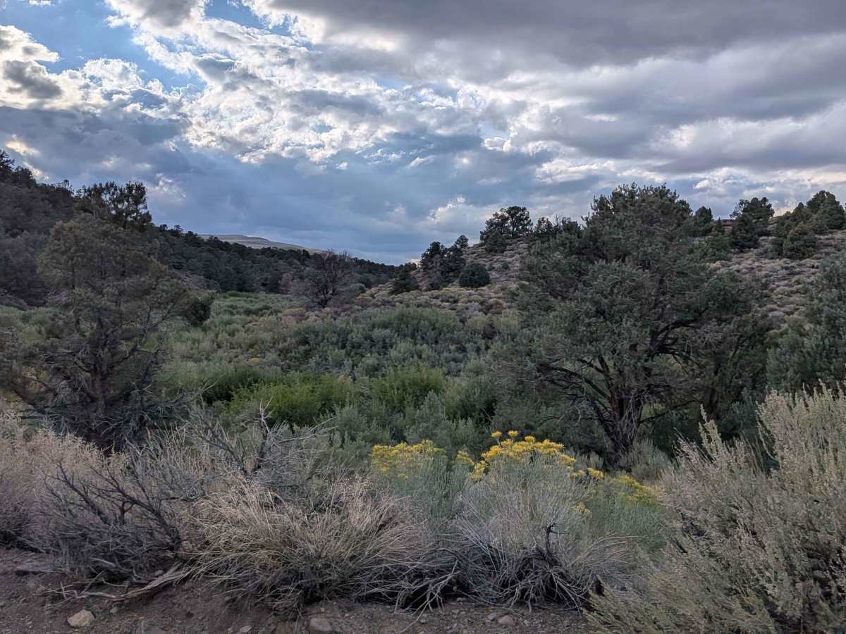 Coyote Springs Road photo 5