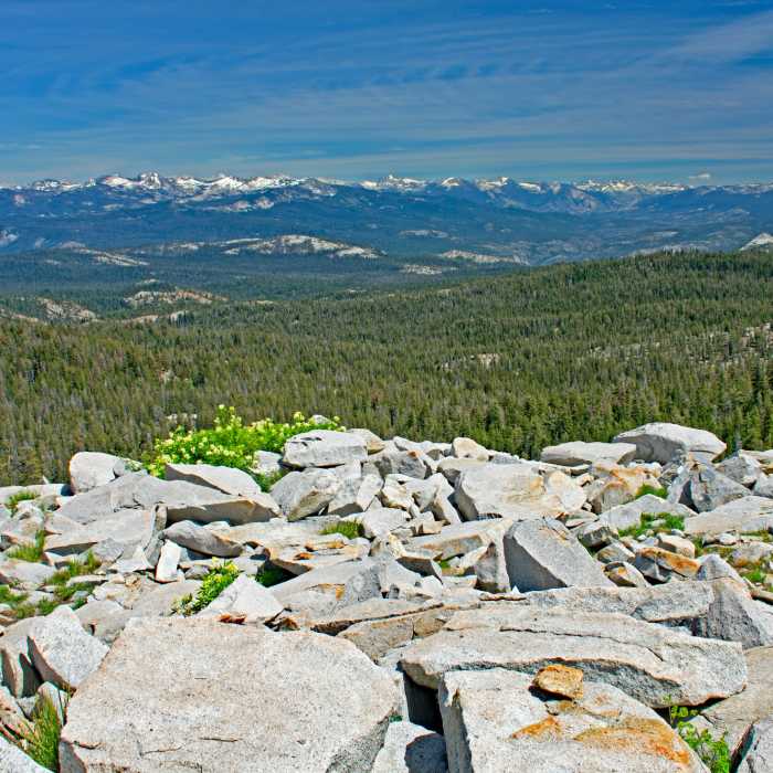 Near Rainbow and Ruth Lakes Trail
