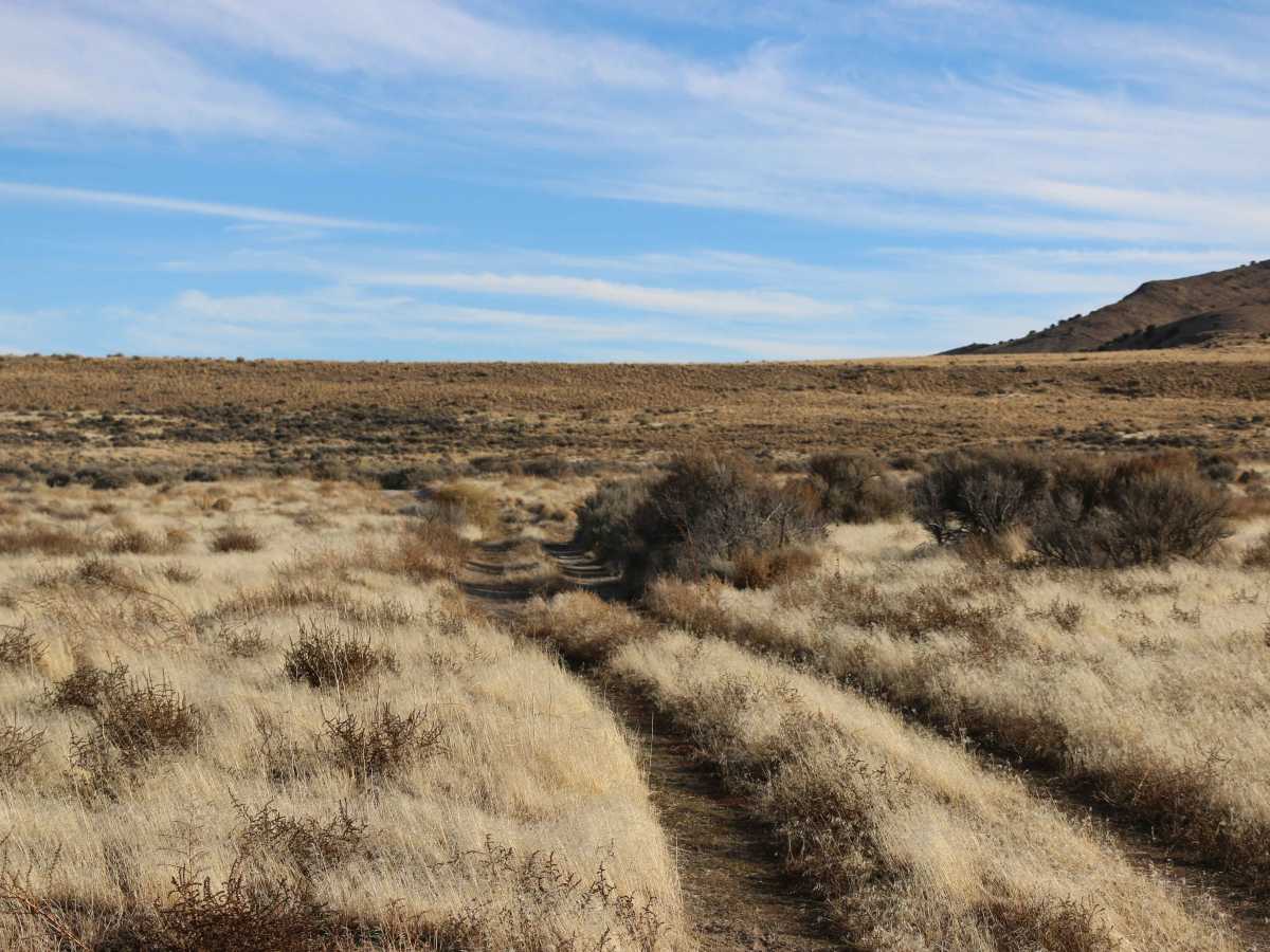 Tooele / Box Elder Line trail photo