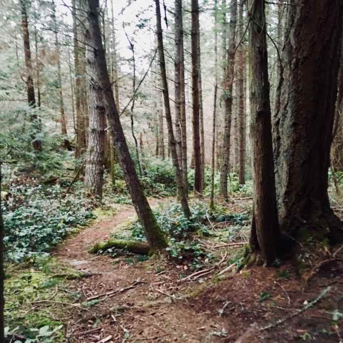 Near Trail 10