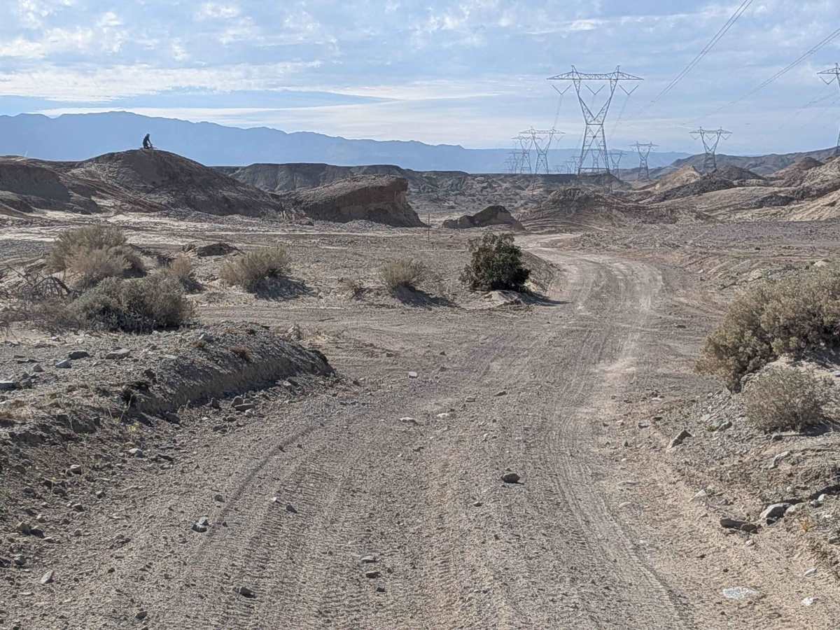 BLM 137 trail photo