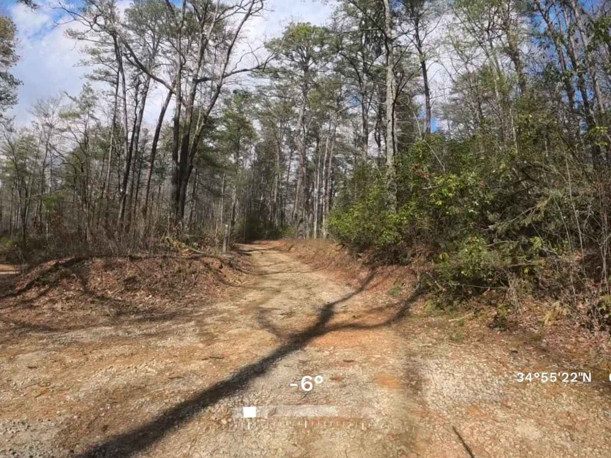 FS 156A trail photo