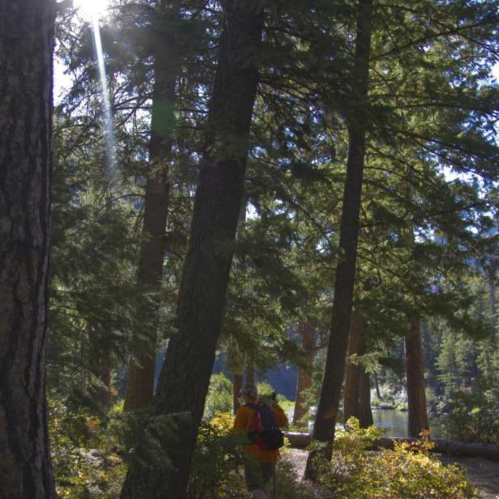 Near Middle Fork of the Salmon River Trail a Day 3