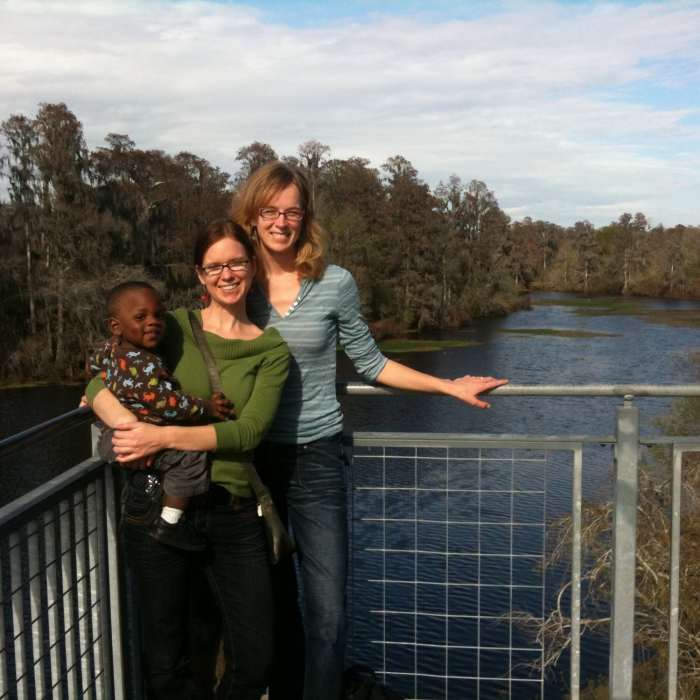 Lettuce Lake Temple Terrace Fl Near Limpkin Loop