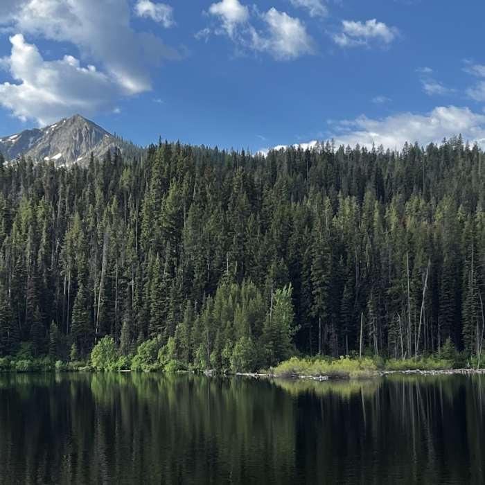 Near Boulder Lake Trail #105
