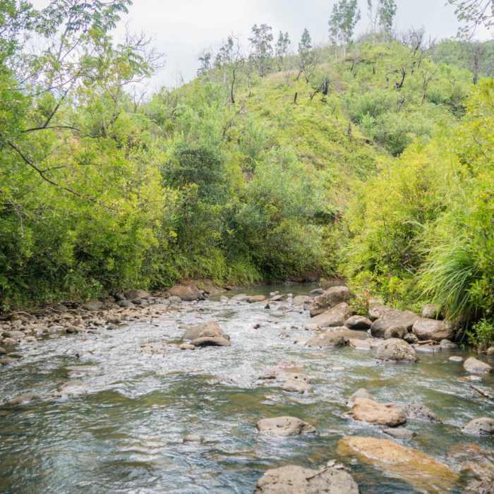Near Wahiawa Hills Near Wahiawa Hills