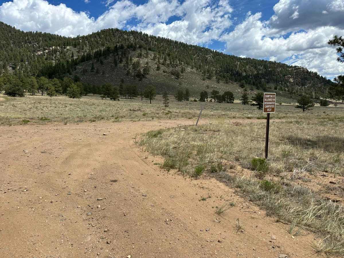 Forest Road 704 C trail photo