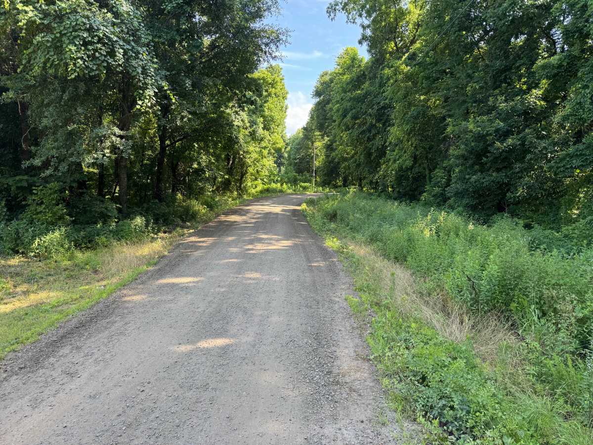 Silex Road trail photo