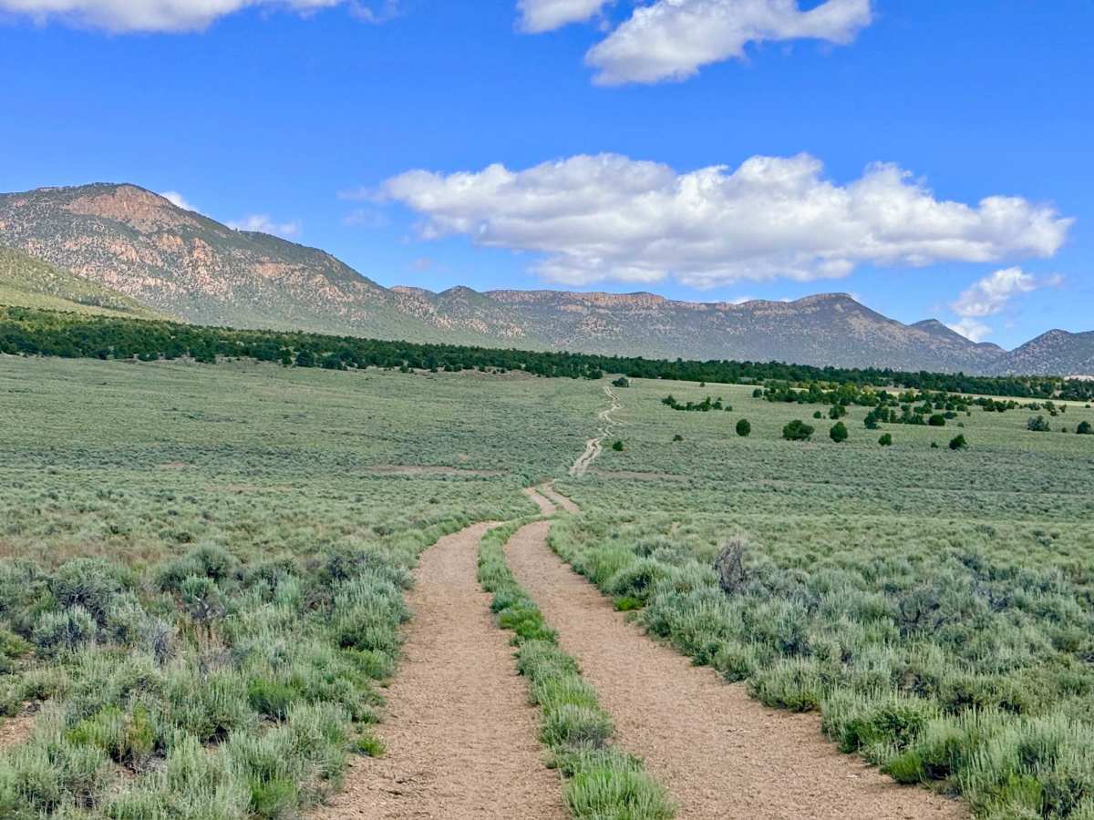 Tulle Creek Road - FS 44422 photo 6
