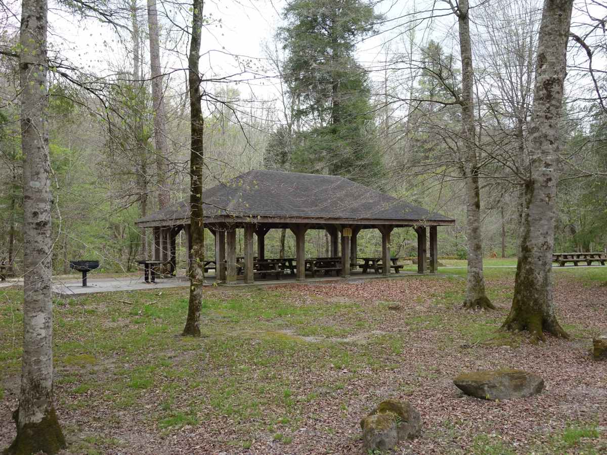Woods Road photo 4