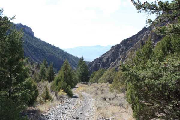 Jaggles Canyon