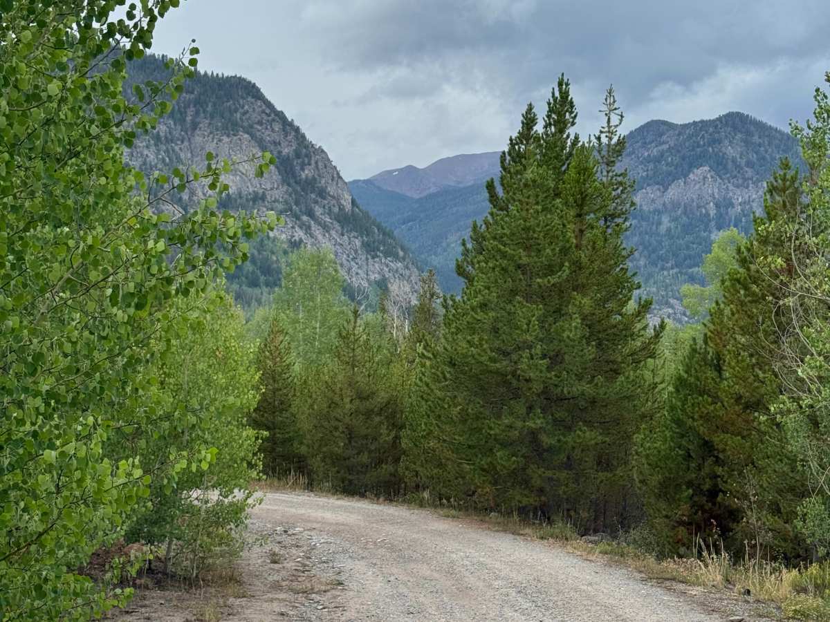 Miners Creek Road photo 2