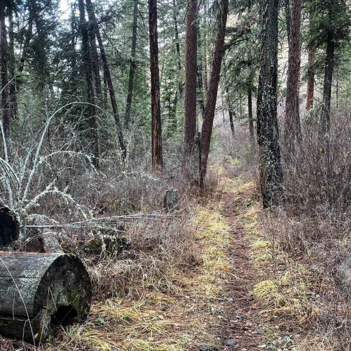 Near Asotin Cr., S. Pinkham, N. Pinkham Loop