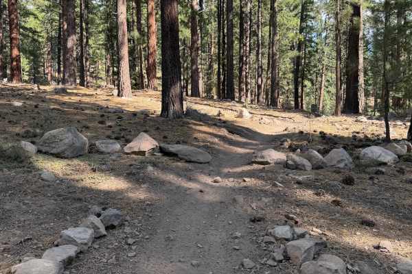 Beer Run Trail Upper