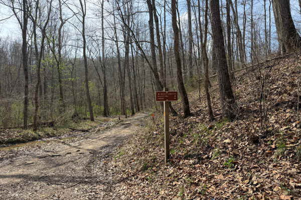 Wolcott Loop