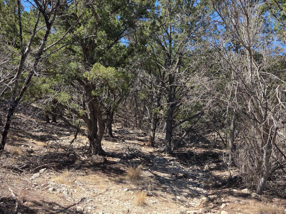 V-33 Wright's Way photo 3