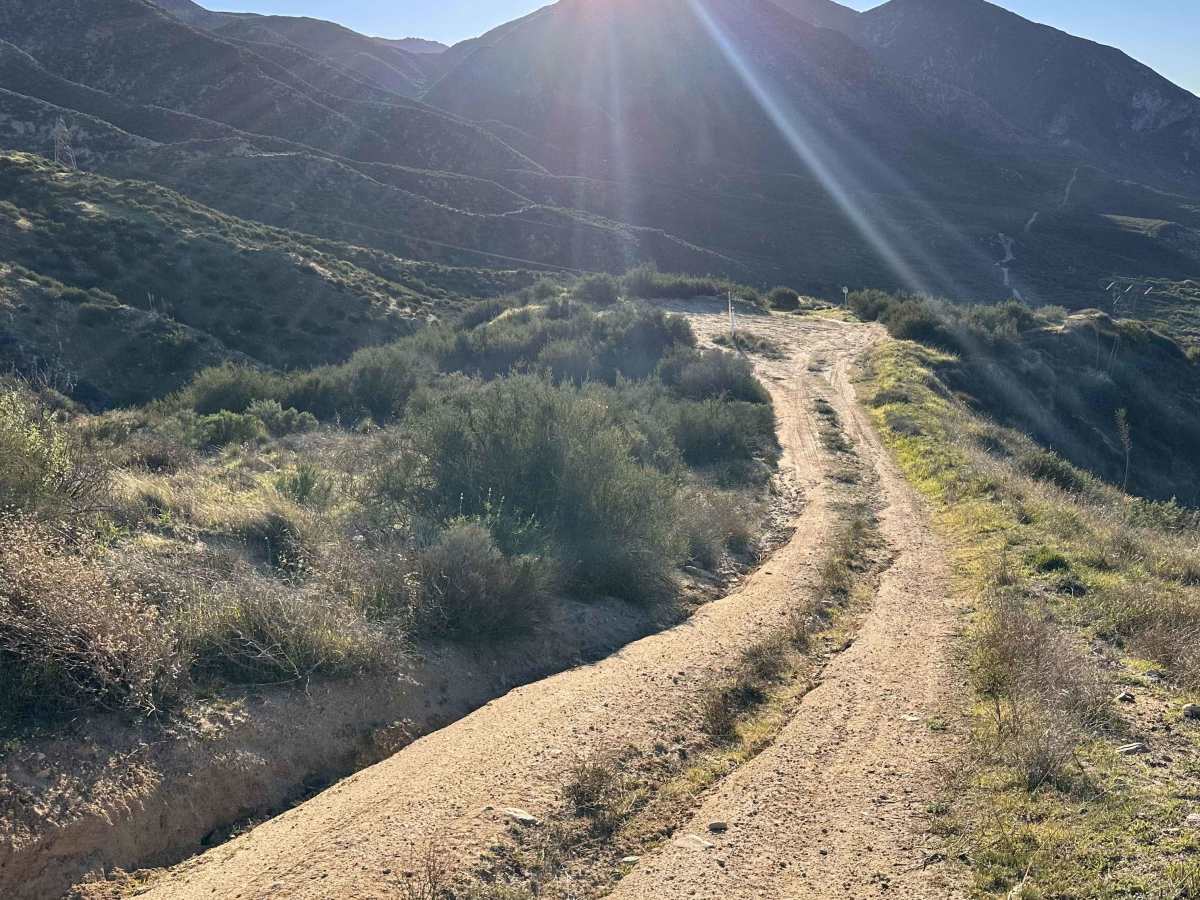 Upper Cleghorn Ridge photo 4