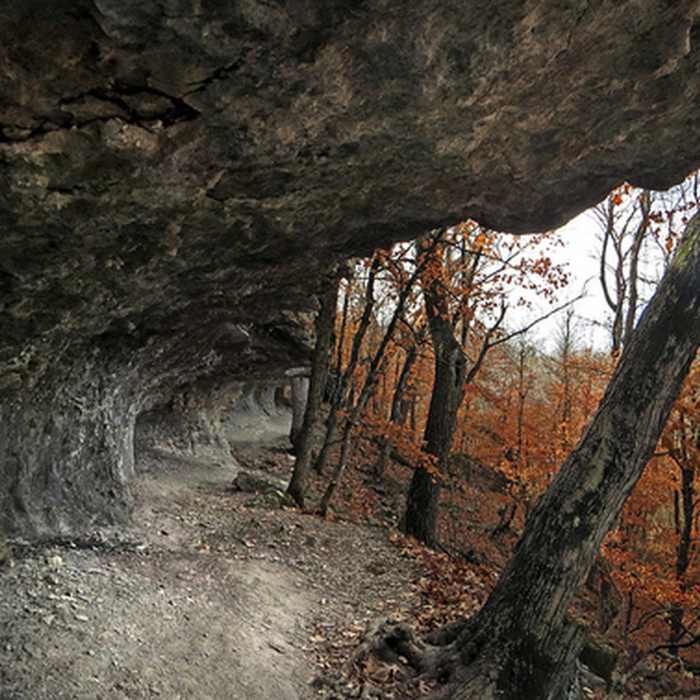Redbud Valley Bluffs Near Redbud Valley Main Trail