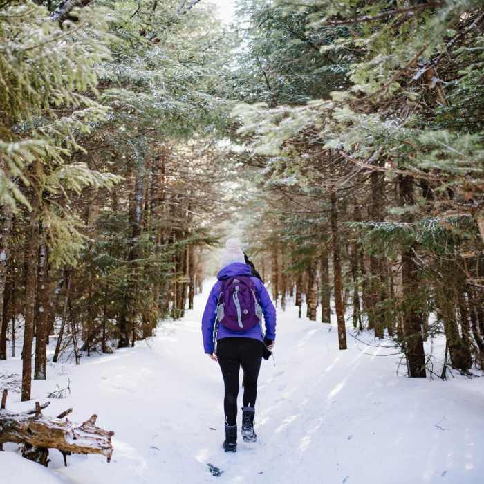 Near Mount Willard: Winter Hike Near Mount Willard: Winter Hike