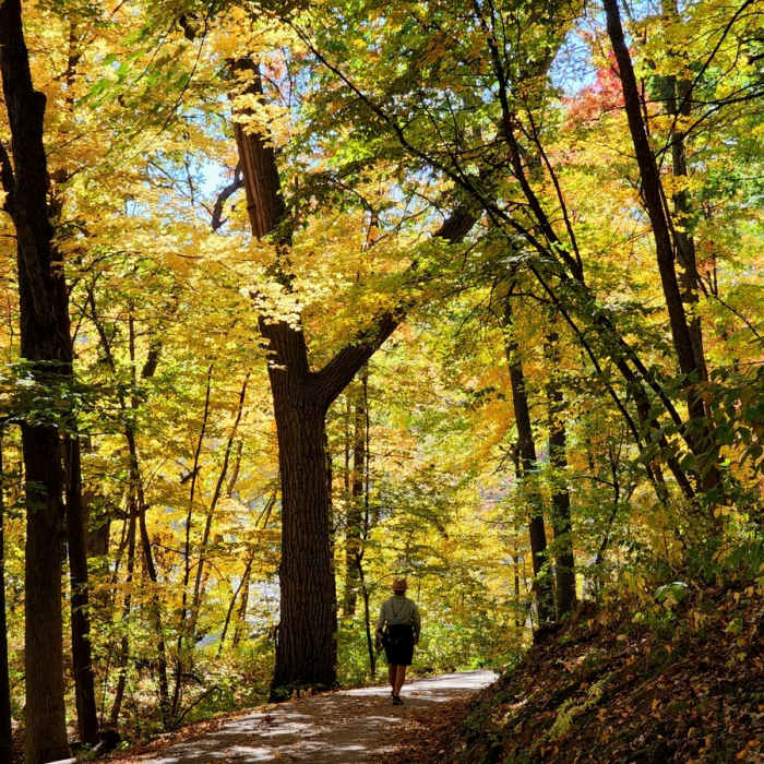 Near Lone Lake to Bryant Lake
