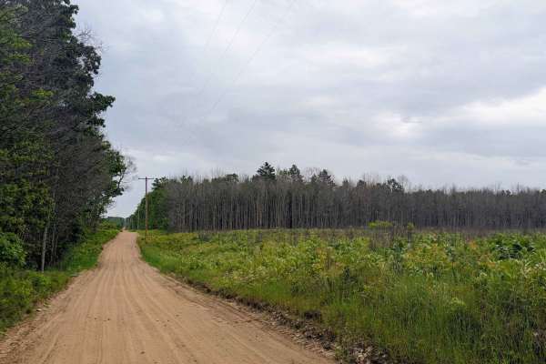 West Higgins Route Section 1