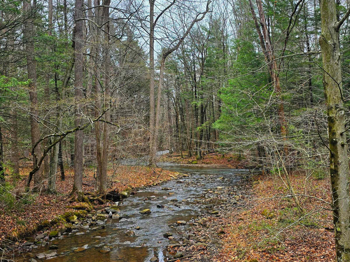 Elk Hill Road photo 2