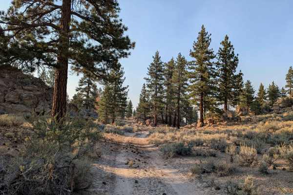 Granite Boulder Scenic Road - FS 4S40