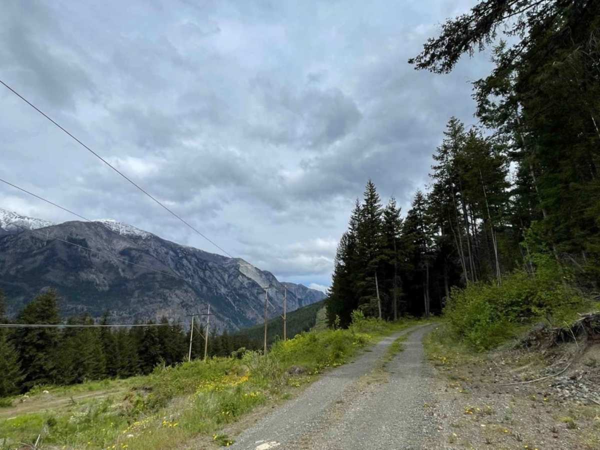 Sandy Point Road photo 4