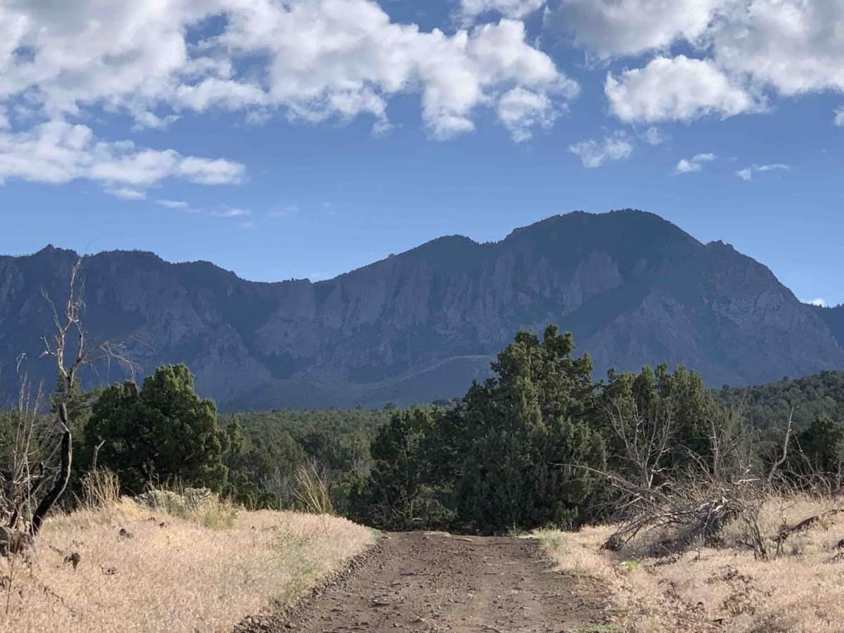 Turkey Road to Lone Pine photo 5