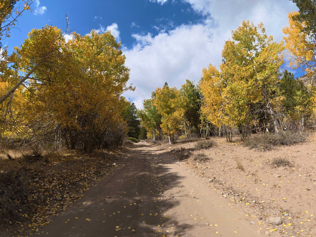 Wolf Creek Spur Road photo 3