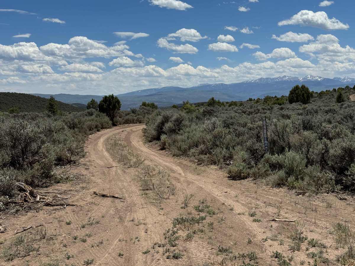 BLM 8482 photo 5
