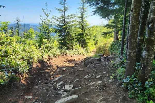 North Rim Trail #2