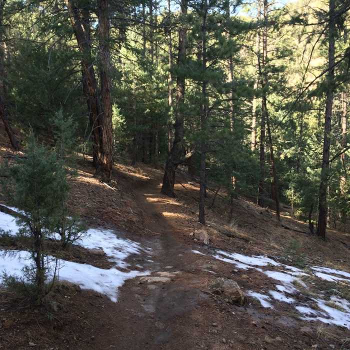 Near Benjamin Trail Link