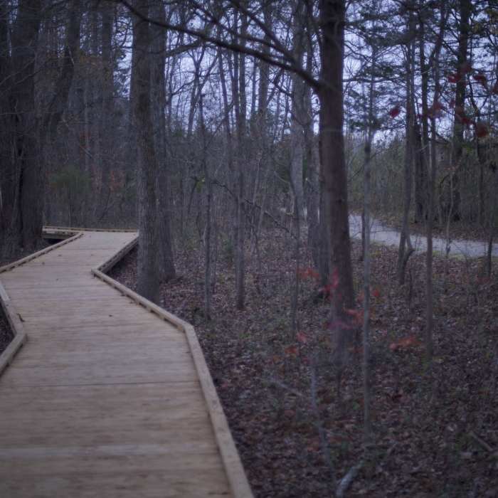 Near Sloans Crossing Pond Walk