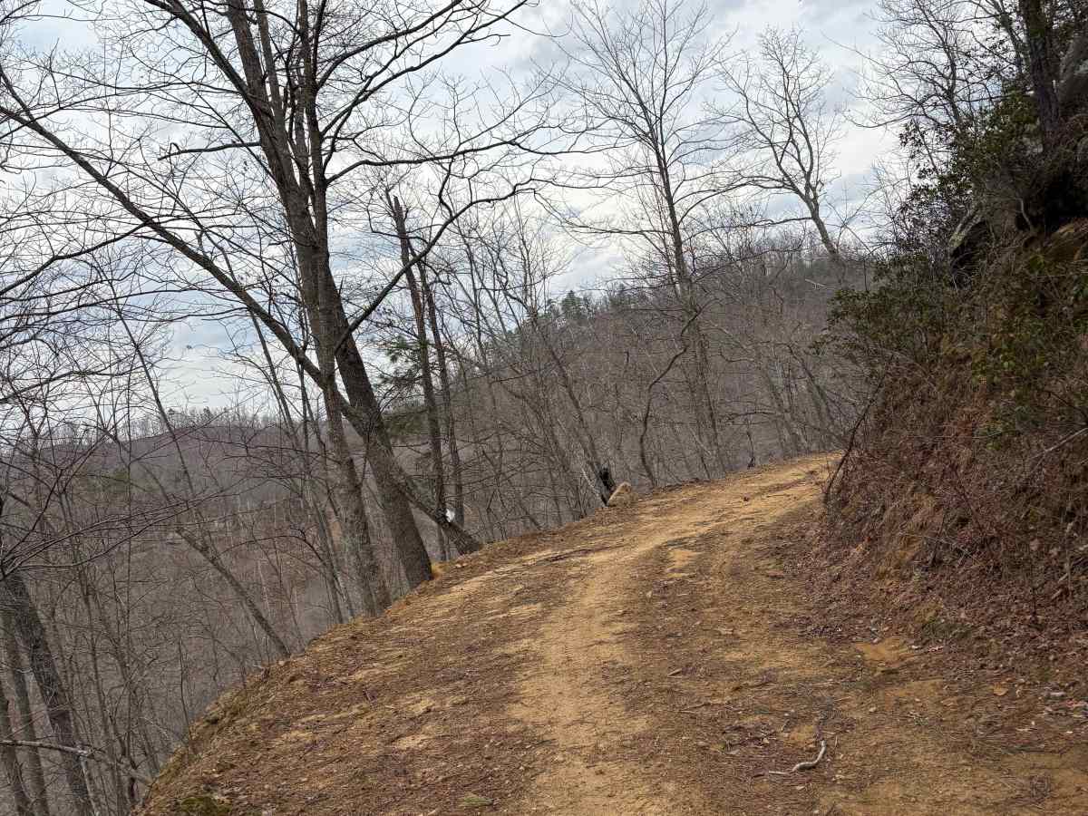 Trail 11 photo 5