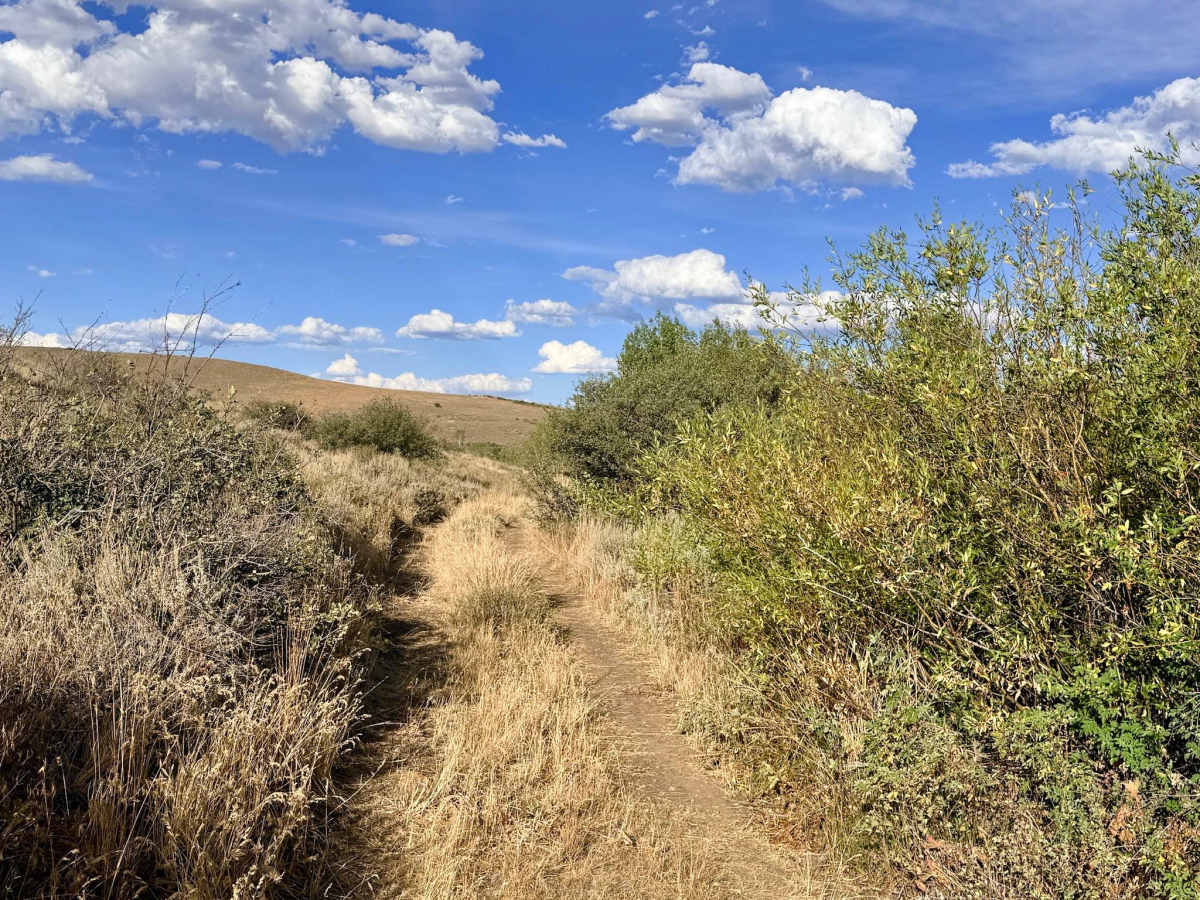 Winters Creek Road - FS 56156 photo 5