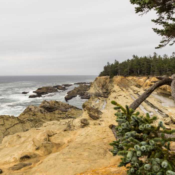 Near Shore Acres Loop Trail