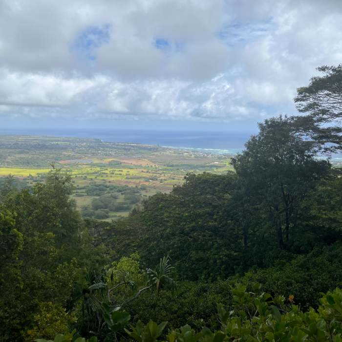 Near Nounou Trail East