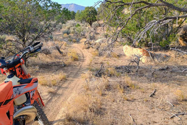 Deadman Canyon Loop