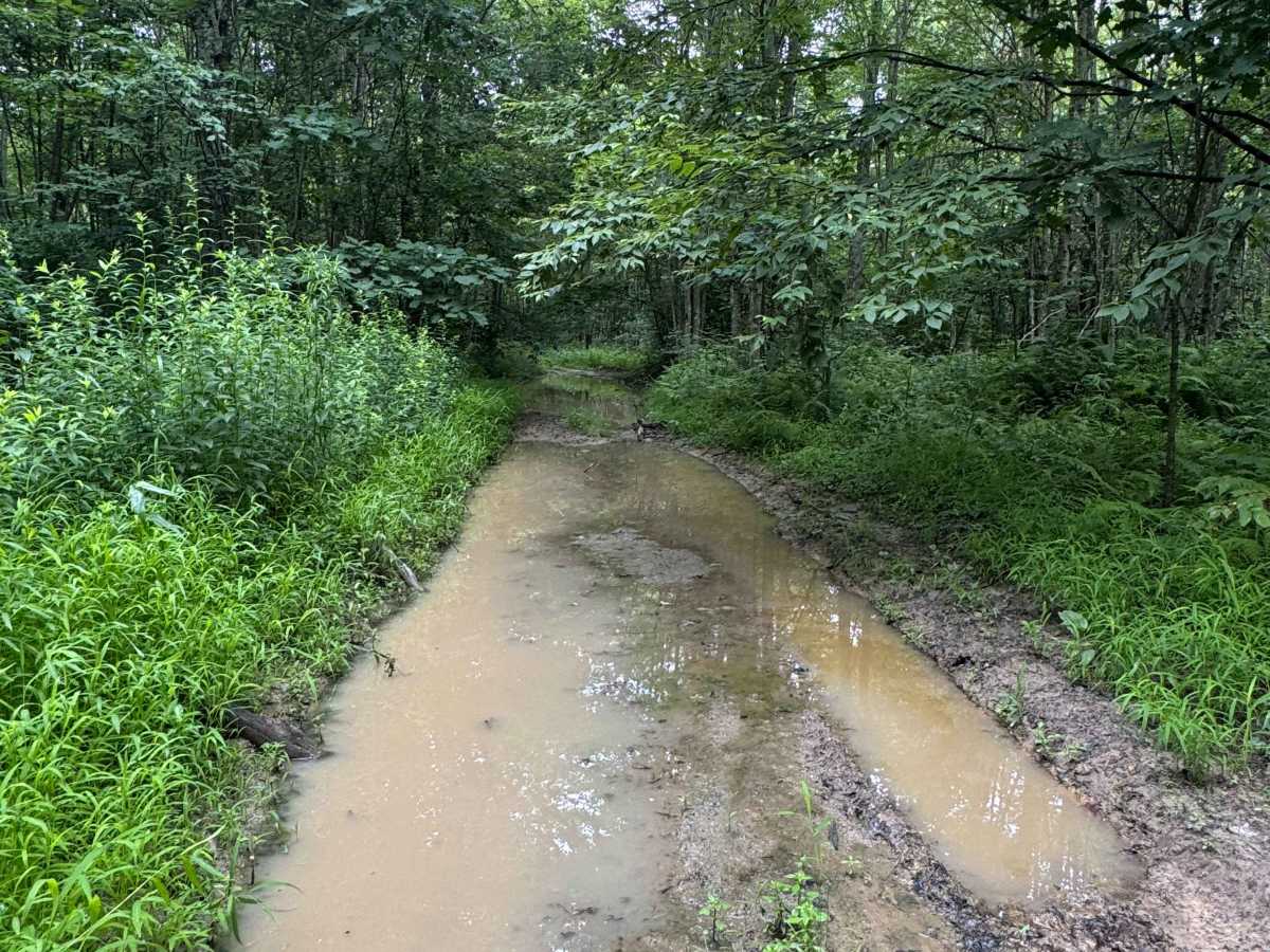 Trail 6 photo 2