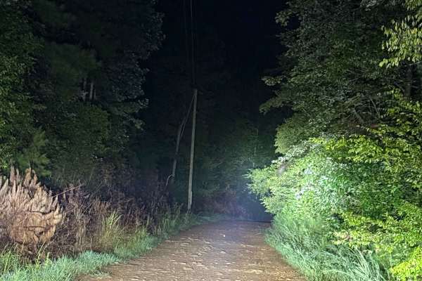 Treat Mountain / County Road 202