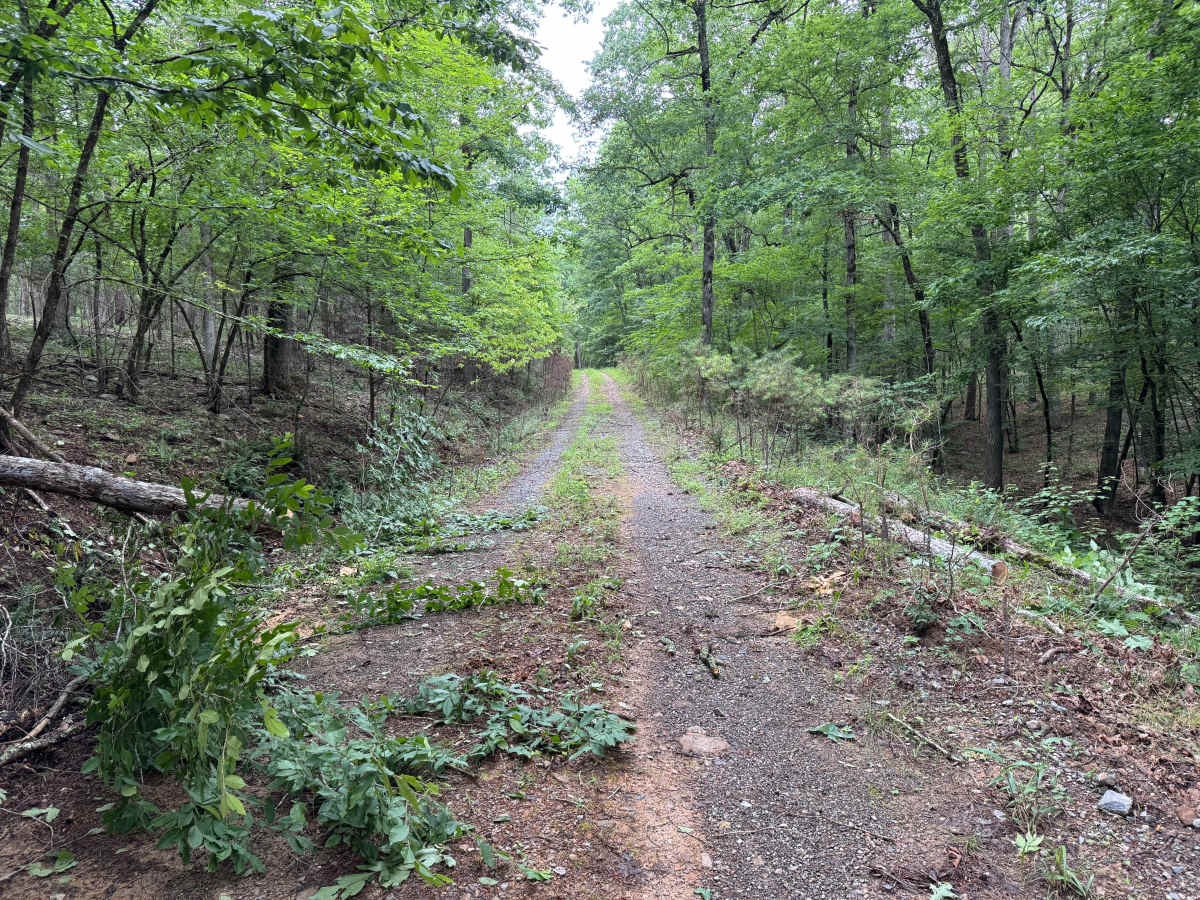 Proctor Mountain photo 2