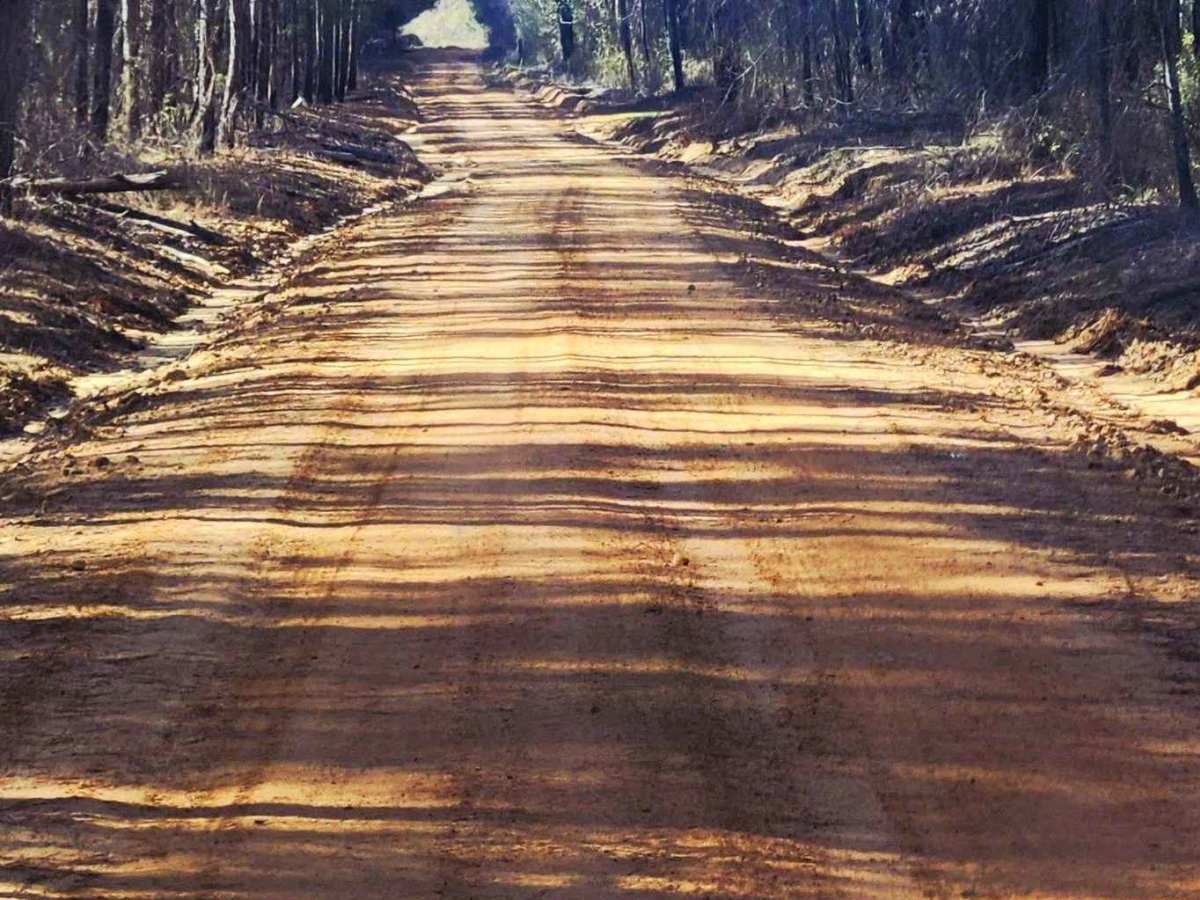 Tatum Road Trail photo 6