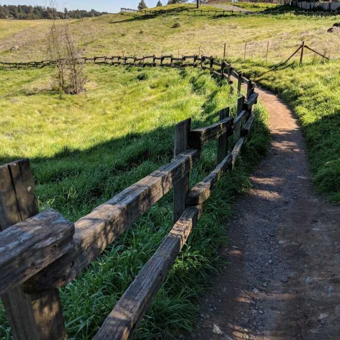 Near Redwood Regional Loop