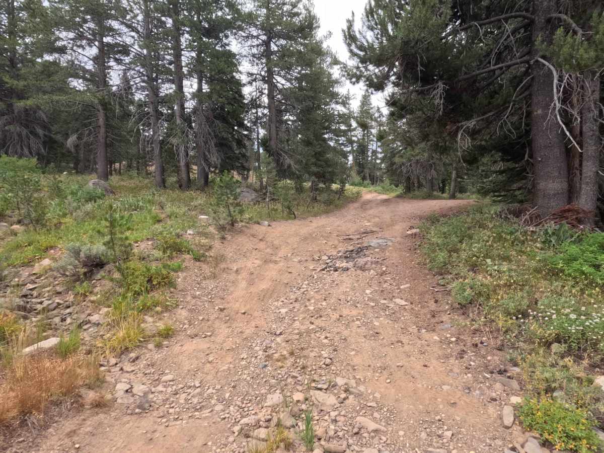Lower Charity Road - FS 31206 photo 3