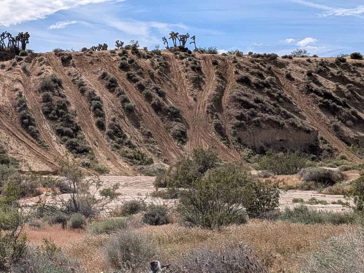 BLM SC94 photo 2