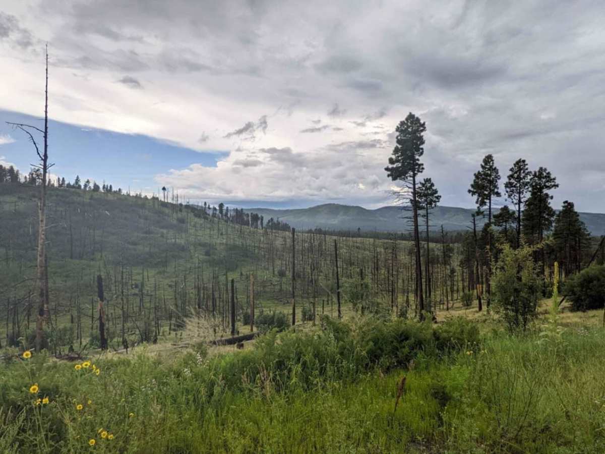 Middle Mountain Road photo 3