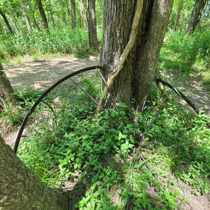 Near San Marcos Trail